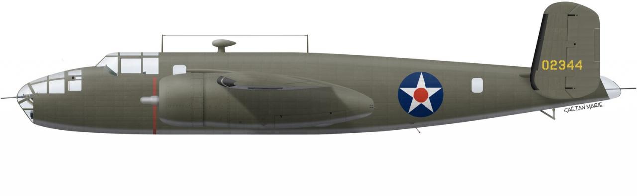 Name:  AAA B-25B port model - Doolittle mod.jpg
Views: 875
Size:  27.2 KB