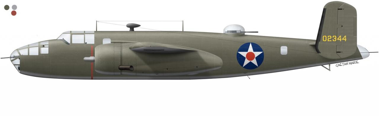 Name:  AAA B-25B port model - Doolittle mod.jpg
Views: 351
Size:  29.3 KB