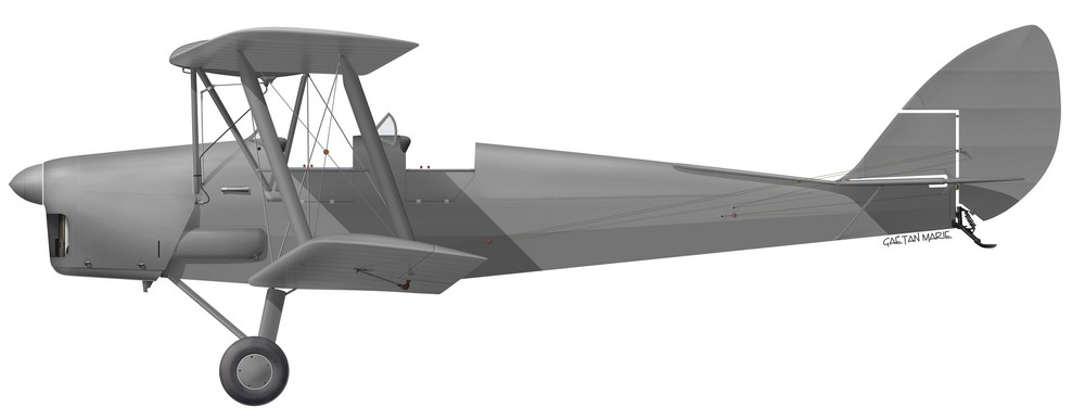 Name:  AAA DH.82 Tiger Moth port model.jpg
Views: 289
Size:  35.8 KB