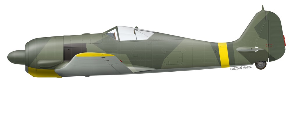 Name:  AAA Fw 190A-6 port model with camo.jpg
Views: 580
Size:  46.4 KB