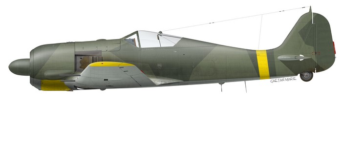 Name:  AAA Fw 190A-6 port model.jpg
Views: 415
Size:  21.6 KB