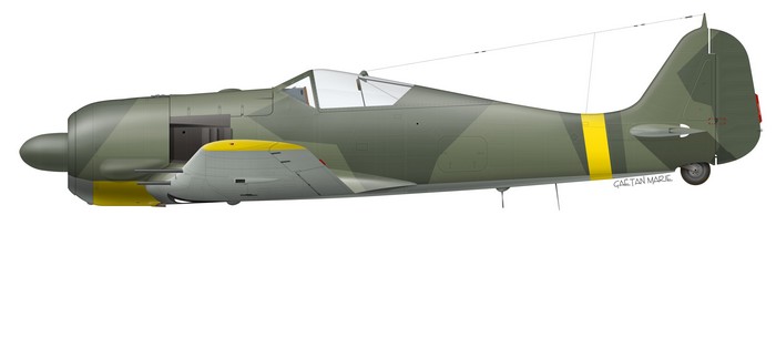 Name:  AAA Fw 190A-6 port model.jpg
Views: 427
Size:  20.6 KB