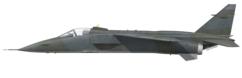 Name:  AAA Jaguar A port model copie.jpg
Views: 233
Size:  33.7 KB