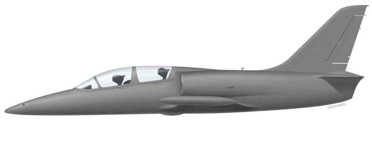 Name: AAA L-39C port model.jpg
Views: 794
Size: 25.8 KB