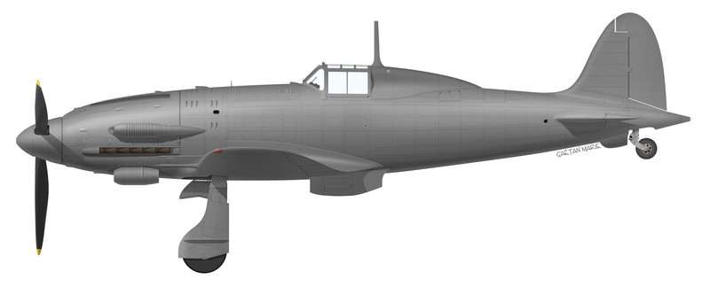 Name:  AAA Macchi MC.205 Series III port model.jpg
Views: 303
Size:  24.1 KB