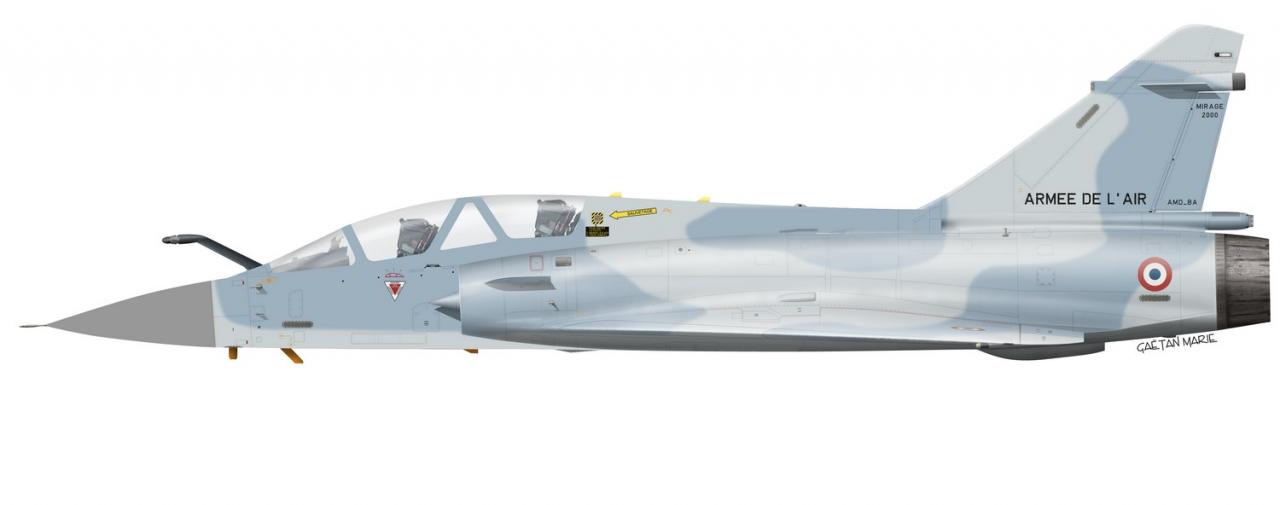 Name:  AAA Mirage 2000B port model.jpg
Views: 290
Size:  30.6 KB