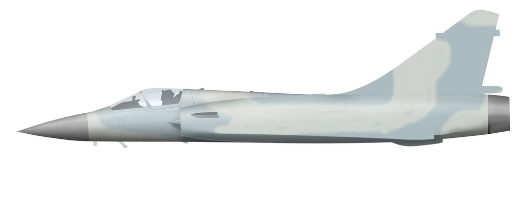 Name:  AAA Mirage 2000C port model.jpg
Views: 514
Size:  21.6 KB