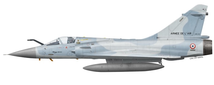 Name:  AAA Mirage 2000C port model.jpg
Views: 374
Size:  21.4 KB