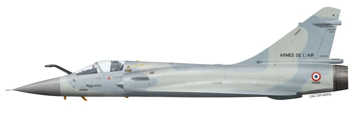 Name:  AAA Mirage 2000C port model.jpg
Views: 489
Size:  18.4 KB