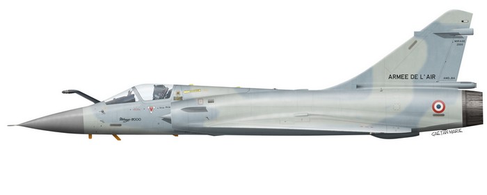 Name:  AAA Mirage 2000C port model.jpg
Views: 466
Size:  18.6 KB