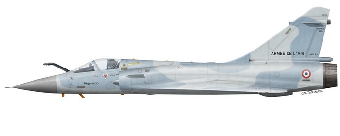 Name:  AAA Mirage 2000C port model.jpg
Views: 391
Size:  19.2 KB