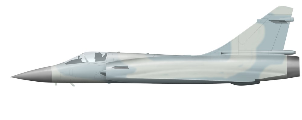 Name:  AAA Mirage 2000C port model.jpg
Views: 479
Size:  24.4 KB