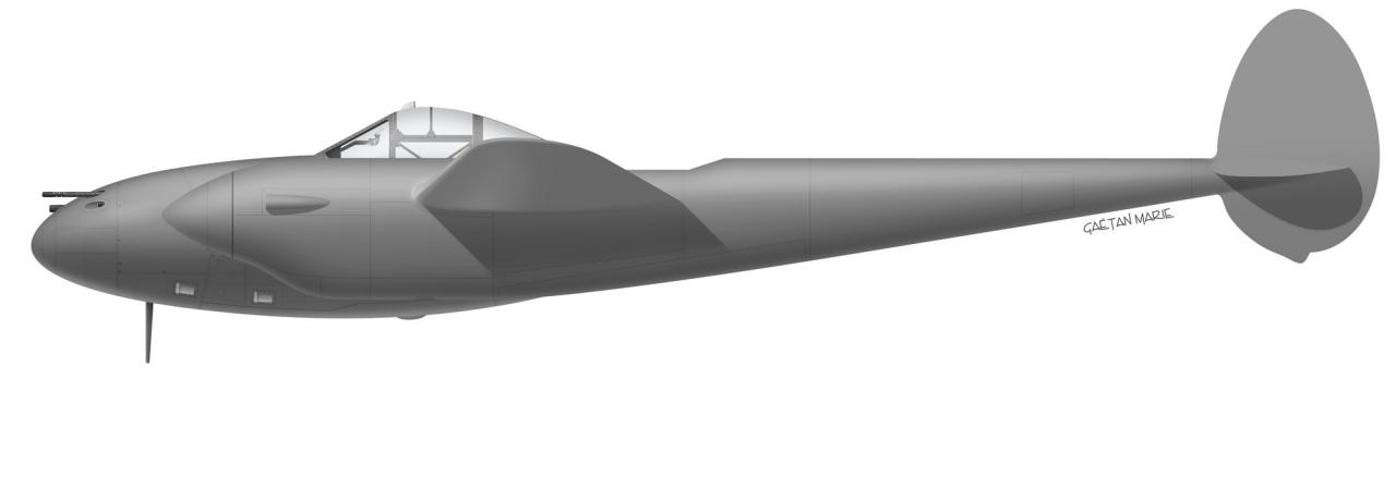 Name:  AAA P-38F port model.jpg
Views: 261
Size:  21.5 KB