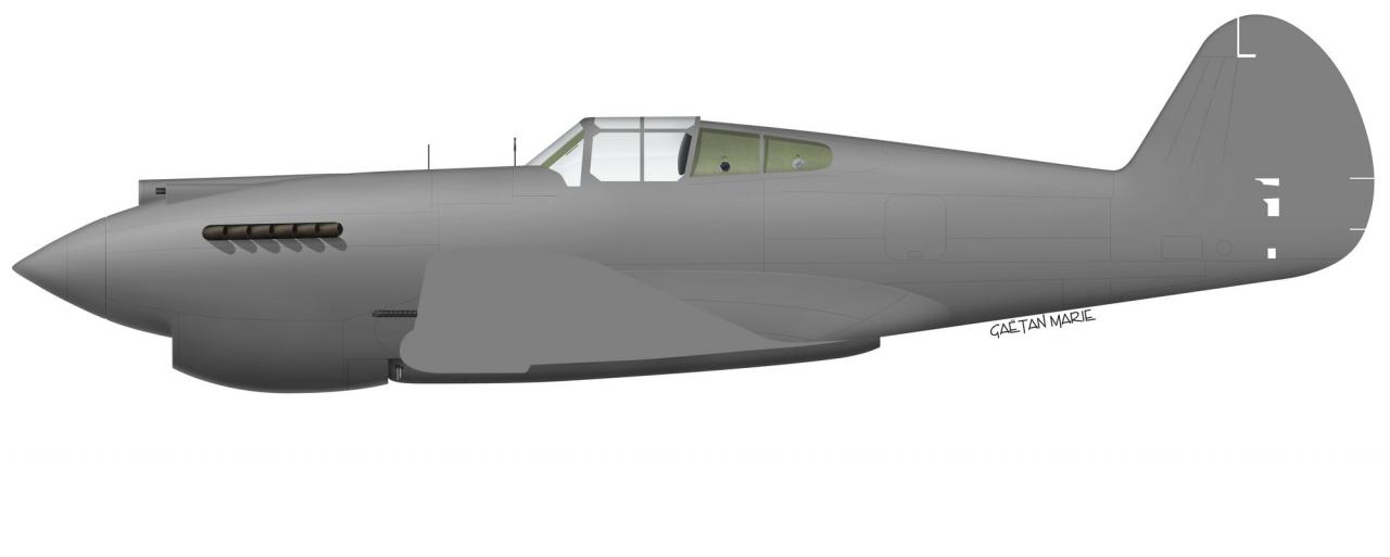 Name:  AAA P-40B port model.jpg
Views: 1156
Size:  26.4 KB