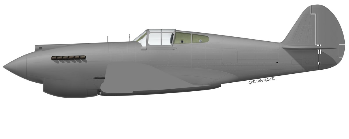 Name:  AAA P-40B port model.jpg
Views: 1063
Size:  37.6 KB