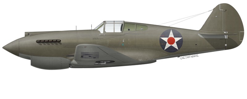 Name:  AAA P-40B port model.jpg
Views: 452
Size:  26.3 KB