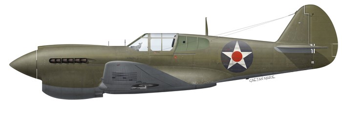 Name:  AAA P-40E port model.jpg
Views: 431
Size:  22.3 KB