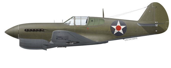 Name:  AAA P-40F early port model.jpg
Views: 435
Size:  22.0 KB