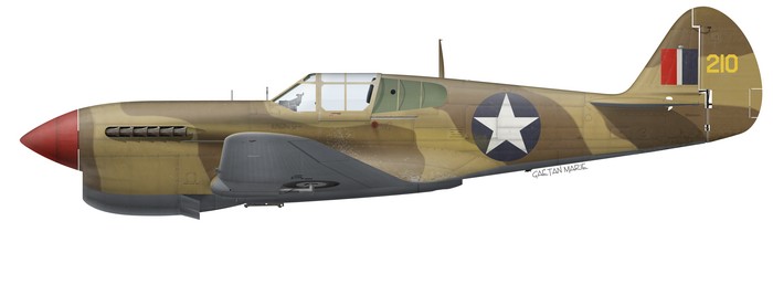 Name:  AAA P-40F late port model.jpg
Views: 430
Size:  22.6 KB