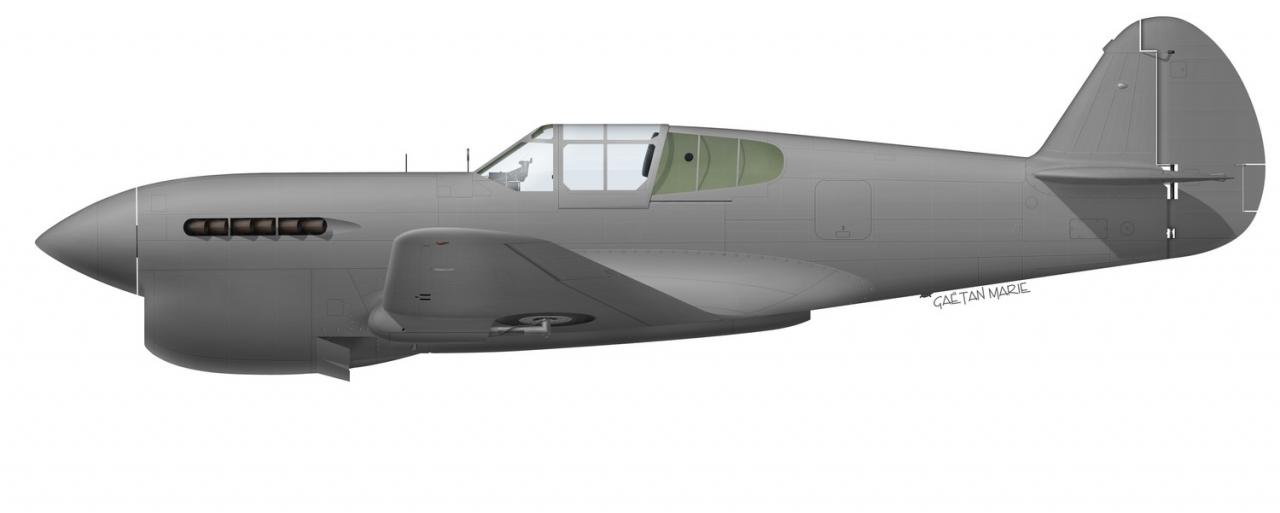 Name:  AAA P-40F port model.jpg
Views: 450
Size:  29.8 KB