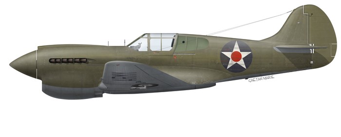 Name:  AAA P-40K early port model.jpg
Views: 431
Size:  22.1 KB