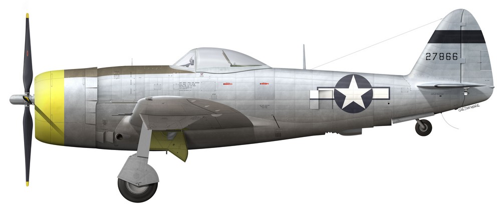 Name:  AAA P-47D-25 port template copie.jpg
Views: 577
Size:  61.6 KB