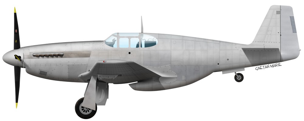 Name: AAA P-51B-10-NA port model copie 2.jpg
Views: 540
Size: 51.6 KB