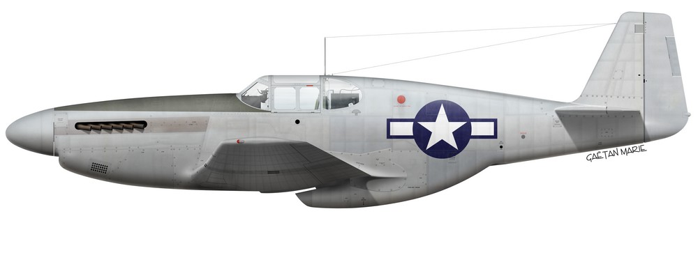 Name:  AAA P-51B-10-NA port model.jpg
Views: 303
Size:  38.0 KB