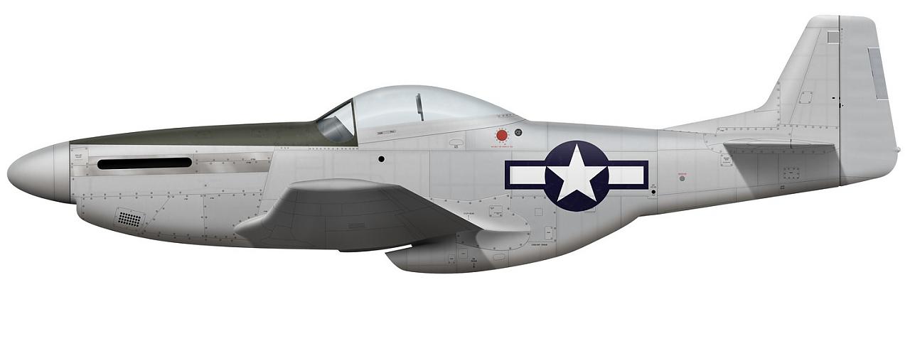 Name:  AAA P-51D-15-NA port model.jpg
Views: 3073
Size:  37.6 KB