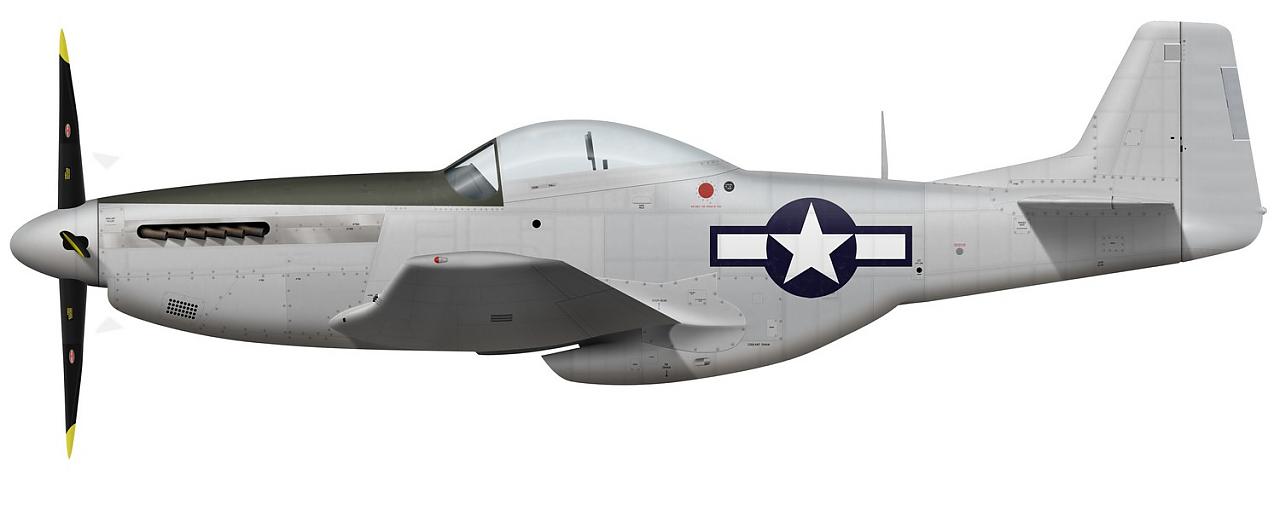 Name:  AAA P-51D-15-NA port model.jpg
Views: 1097
Size:  38.5 KB