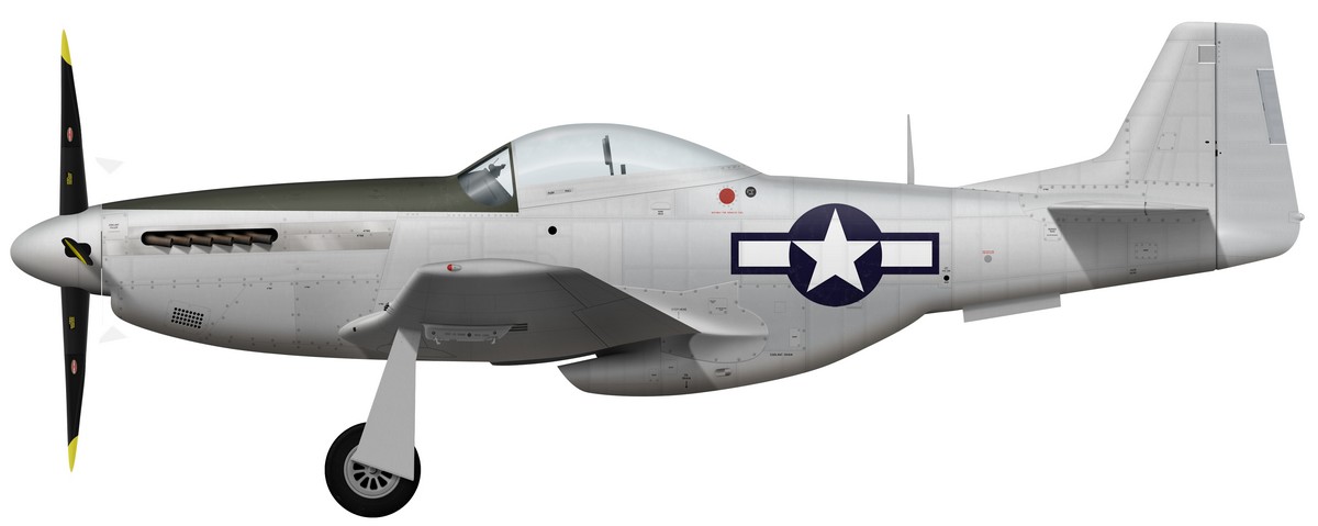 Name:  AAA P-51D-15-NA port model.jpg
Views: 909
Size:  53.7 KB