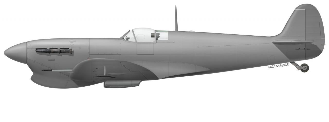 Name:  AAA Spitfire Mk V early port model with Folkes.jpg
Views: 537
Size:  28.1 KB