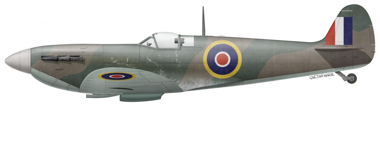 Name:  AAA Spitfire Mk V late port model 2.jpg
Views: 504
Size:  35.0 KB