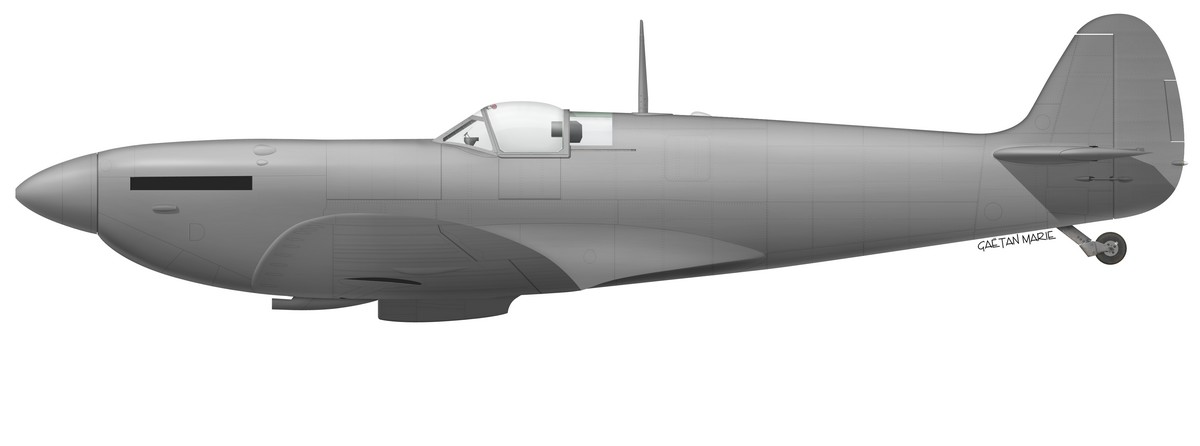 Name:  AAA Spitfire Mk V late port model 2.jpg
Views: 595
Size:  35.6 KB