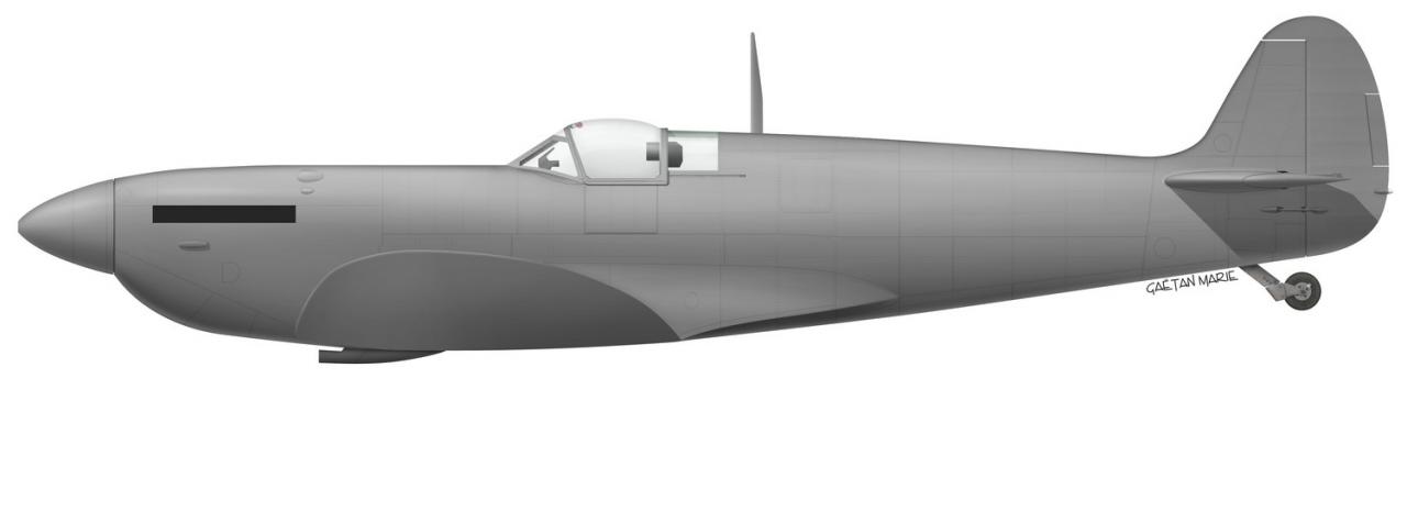 Name:  AAA Spitfire Mk V late port model.jpg
Views: 1315
Size:  25.7 KB