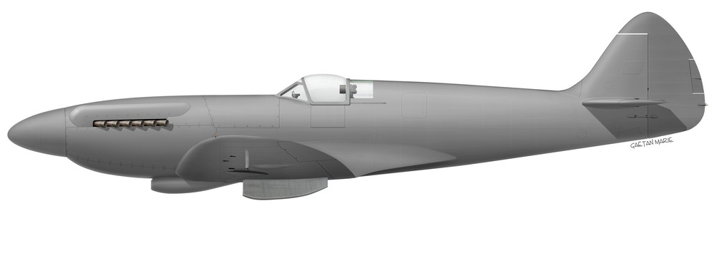 Name:  AAA Spitfire Mk XIV early port model.jpg
Views: 224
Size:  26.0 KB