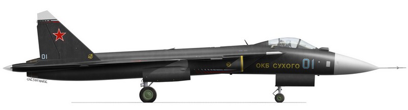 Name: AAA Su-47 starboard model copie.jpg
Views: 455
Size: 19.5 KB