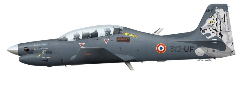 Name:  France, EMB-312F 312487, EPNAA, Retrait de Service.jpg
Views: 266
Size:  41.4 KB