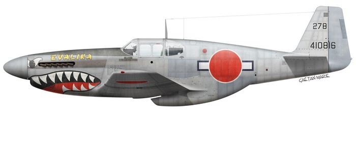 Name:  Japan, P-51C-11-NT, 44-10816, Evalina.jpg
Views: 531
Size:  37.7 KB