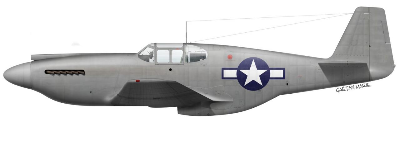 Name:  P-51A port model e.jpg
Views: 617
Size:  33.1 KB