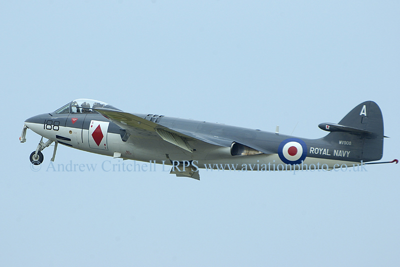 Name:  RNHF Hawker Sea Hawk FGA6 WV908 2  Kemble Airshow 2006.jpg
Views: 722
Size:  145.4 KB