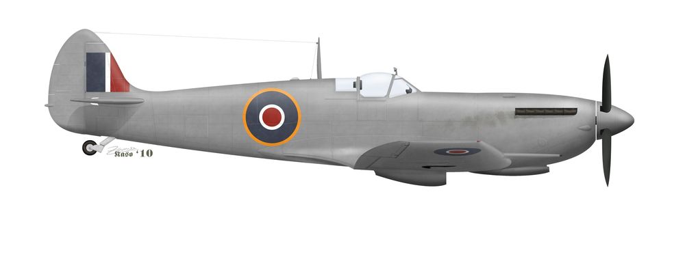 Name:  Spitfire Mk.IX template.jpg
Views: 358
Size:  22.5 KB