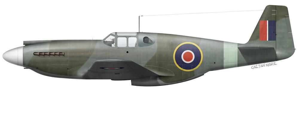 Name:  UK, Mustang Mk I, AM125, FO Theodore Lambros, 430 (RCAF) Squadron copie.jpg
Views: 377
Size:  48.0 KB