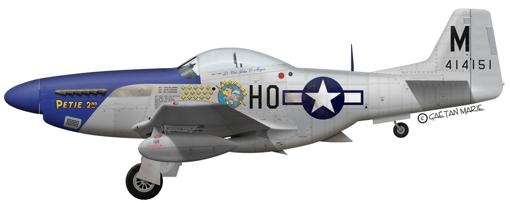 Name:  US, P-51D-10-NA, Petie 2nd, John C. Meyer, 487 FS, 352 FG.jpg
Views: 755
Size:  50.2 KB