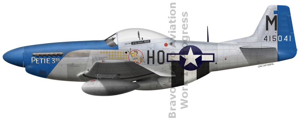 Name:  US, P-51D-15-NA, 44-15041, Petie 3rd, John C. Meyer, 487 FS, 352 FG.jpg
Views: 239
Size:  66.3 KB