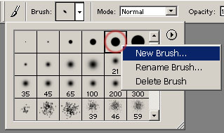 Name:  brush07.jpg
Views: 1883
Size:  22.5 KB