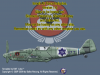 Israeli Air Force Insignias