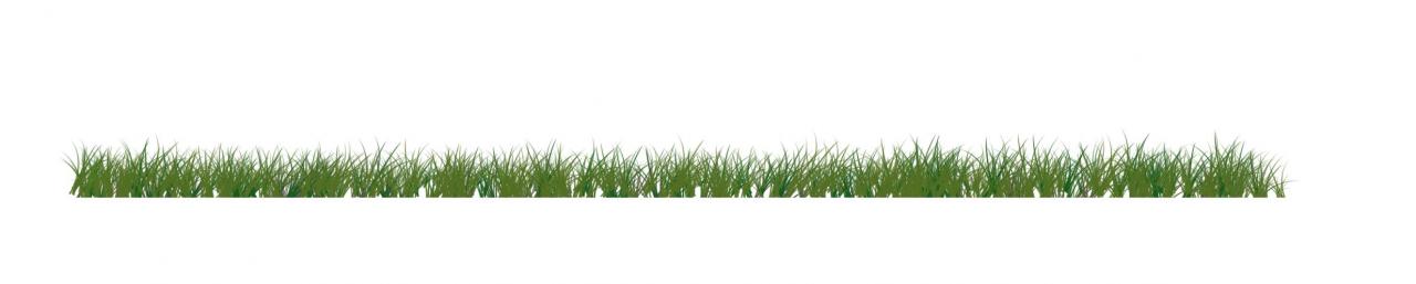 Name:  grass.jpg
Views: 301
Size:  25.1 KB